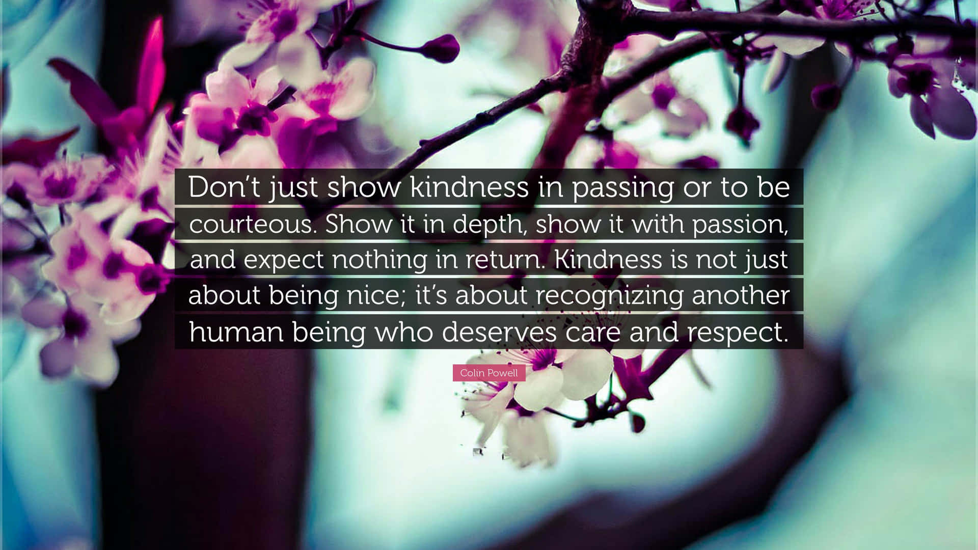 Show Kindness With Passion, Not In Passing
