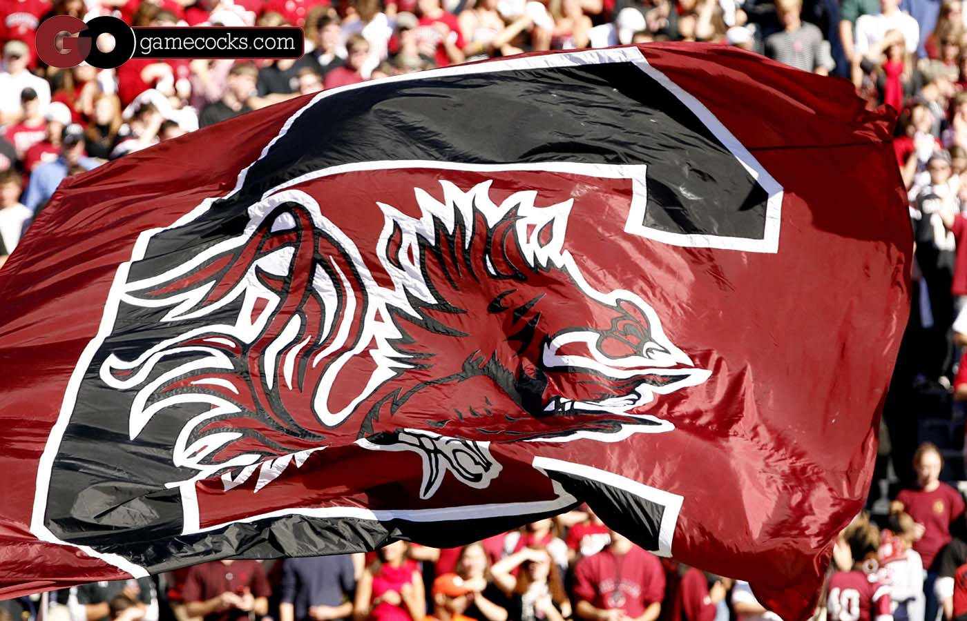 Show Proud Support For South Carolina Gamecocks