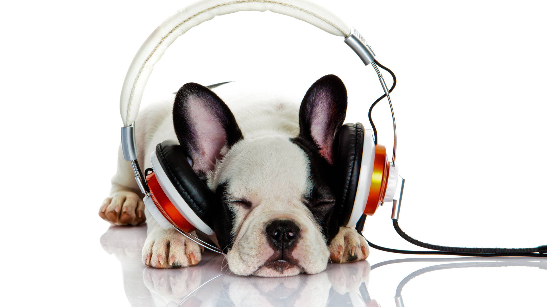 Show Your Friends And Family The Latest Tech By Sending Them A Picture Of This Cool Pup With A Headset. Background