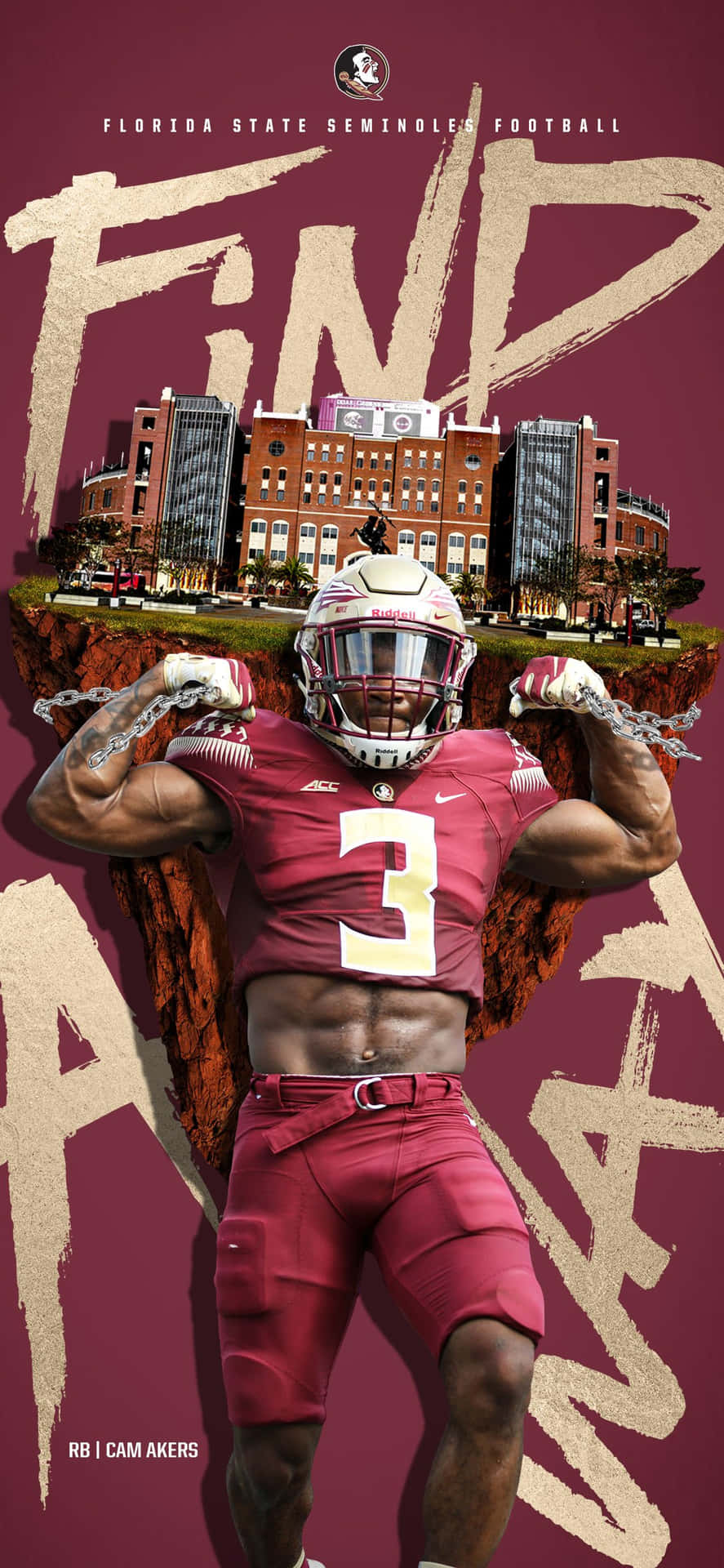 Show Your Fsu Pride Background