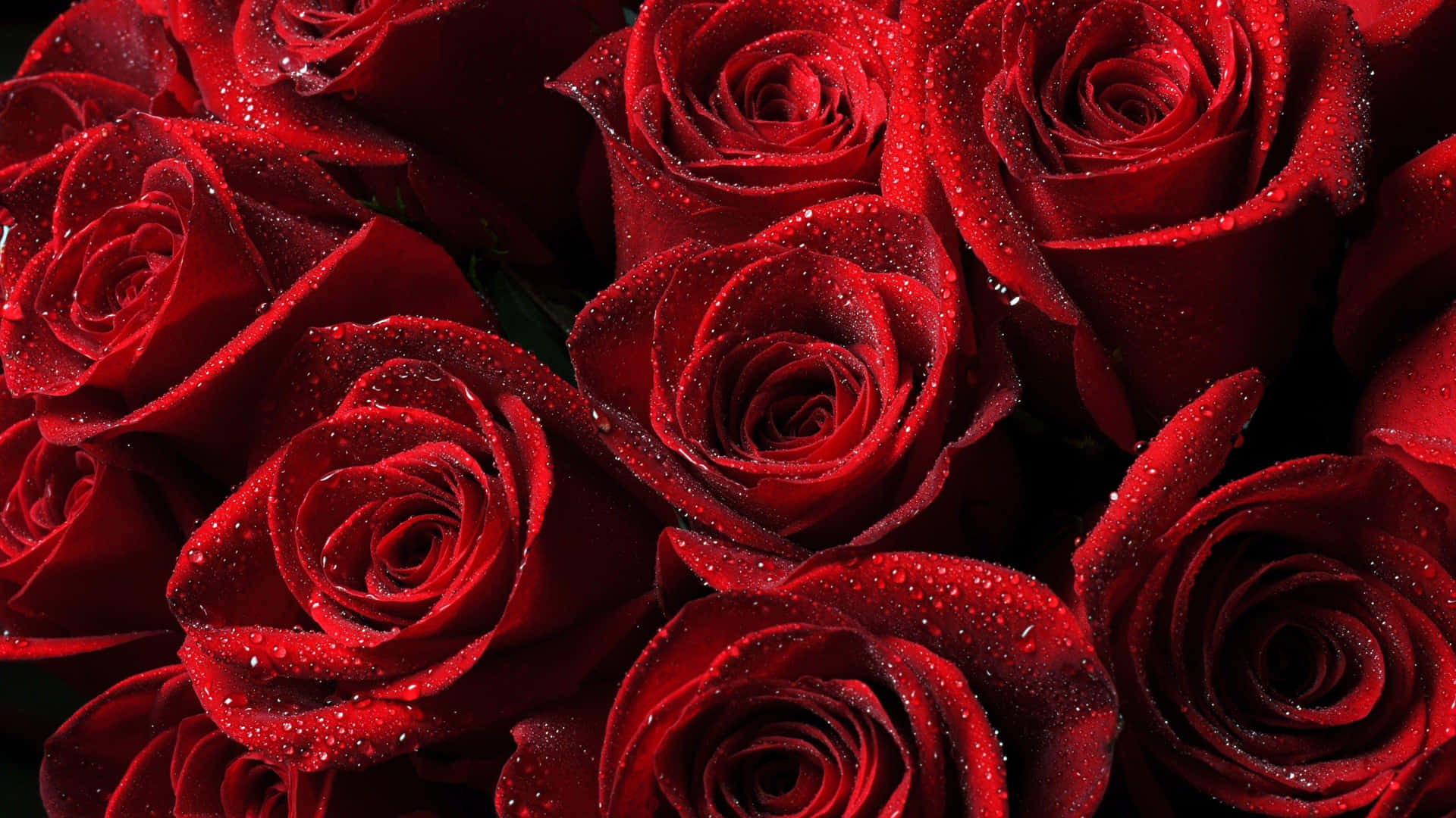 Show Your Love This Valentine's Day With A Bouquet Of Red Roses Background