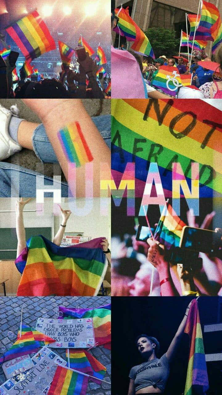 Show Your Pride, Love And Beauty Every Day. Background