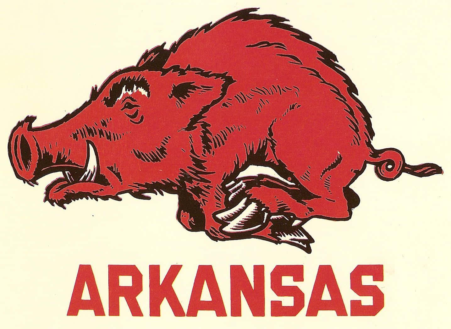 Show Your Support For The Arkansas Razorbacks! Background