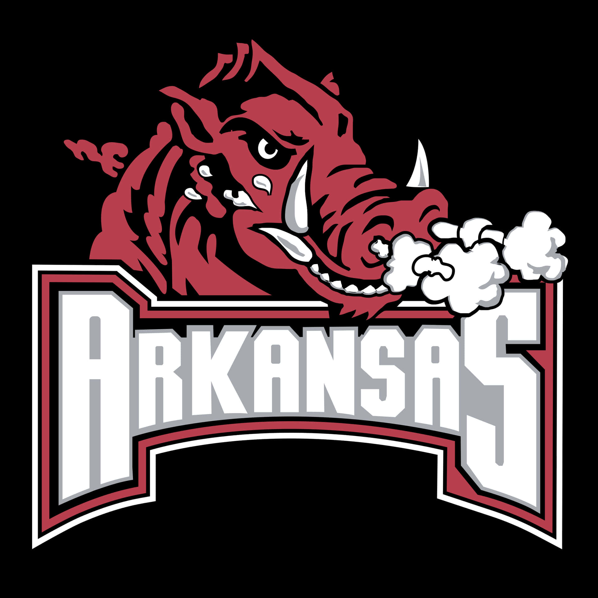 Show Your Support For The Arkansas Razorbacks! Background