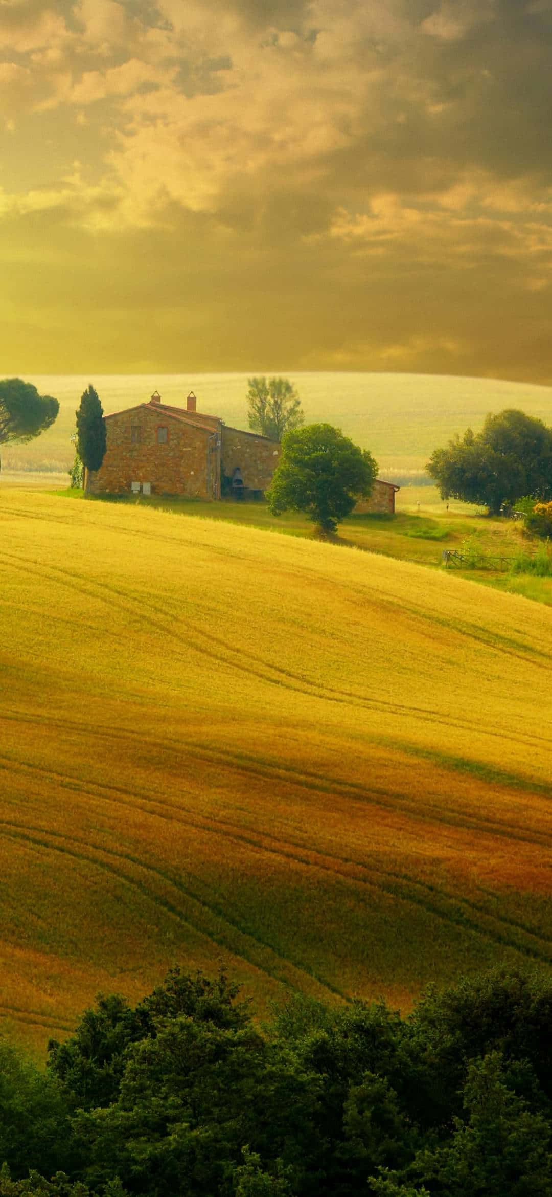 Showing Off The Latest Apple Iphone 13 Mini.