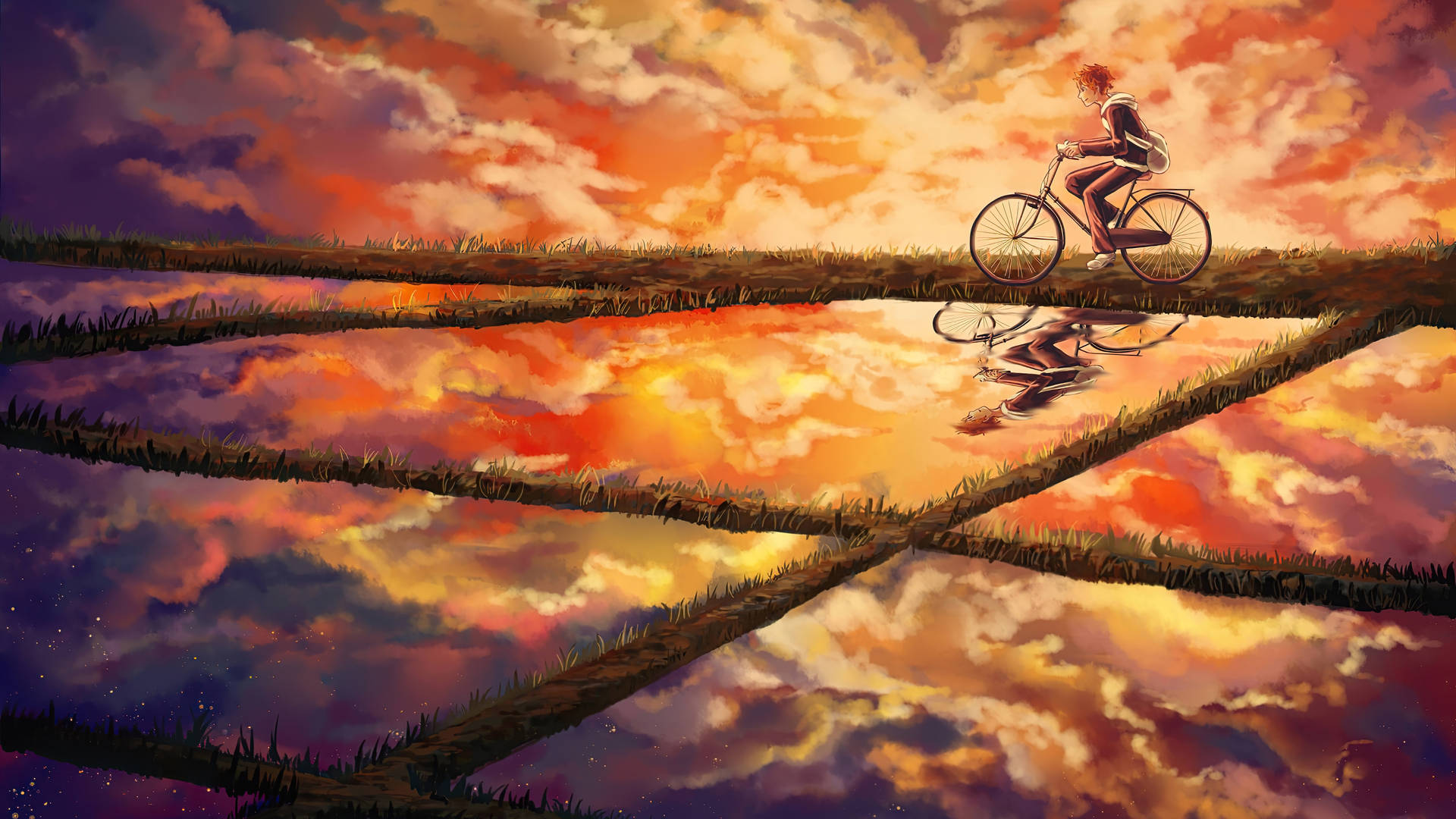 Shoyo Hinata Biking At Sunset Background