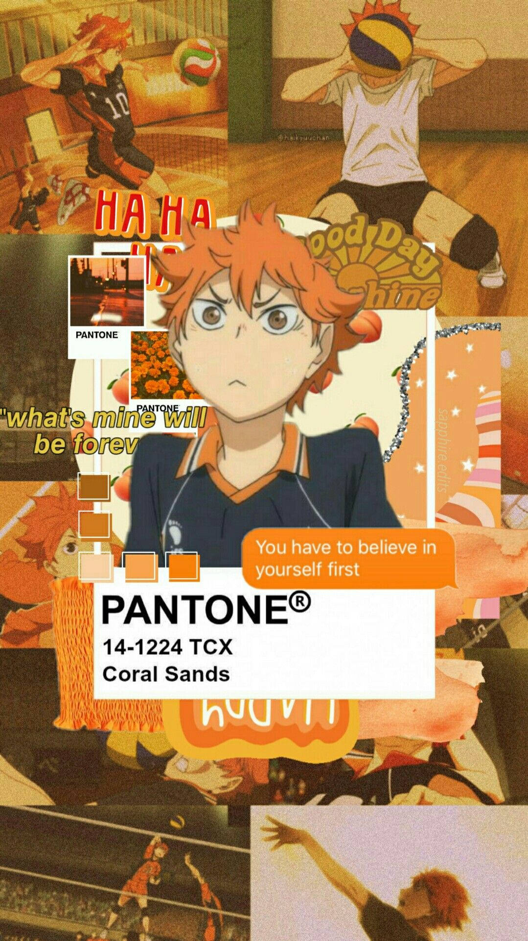 Shoyo Hinata Pantone Coral Sands