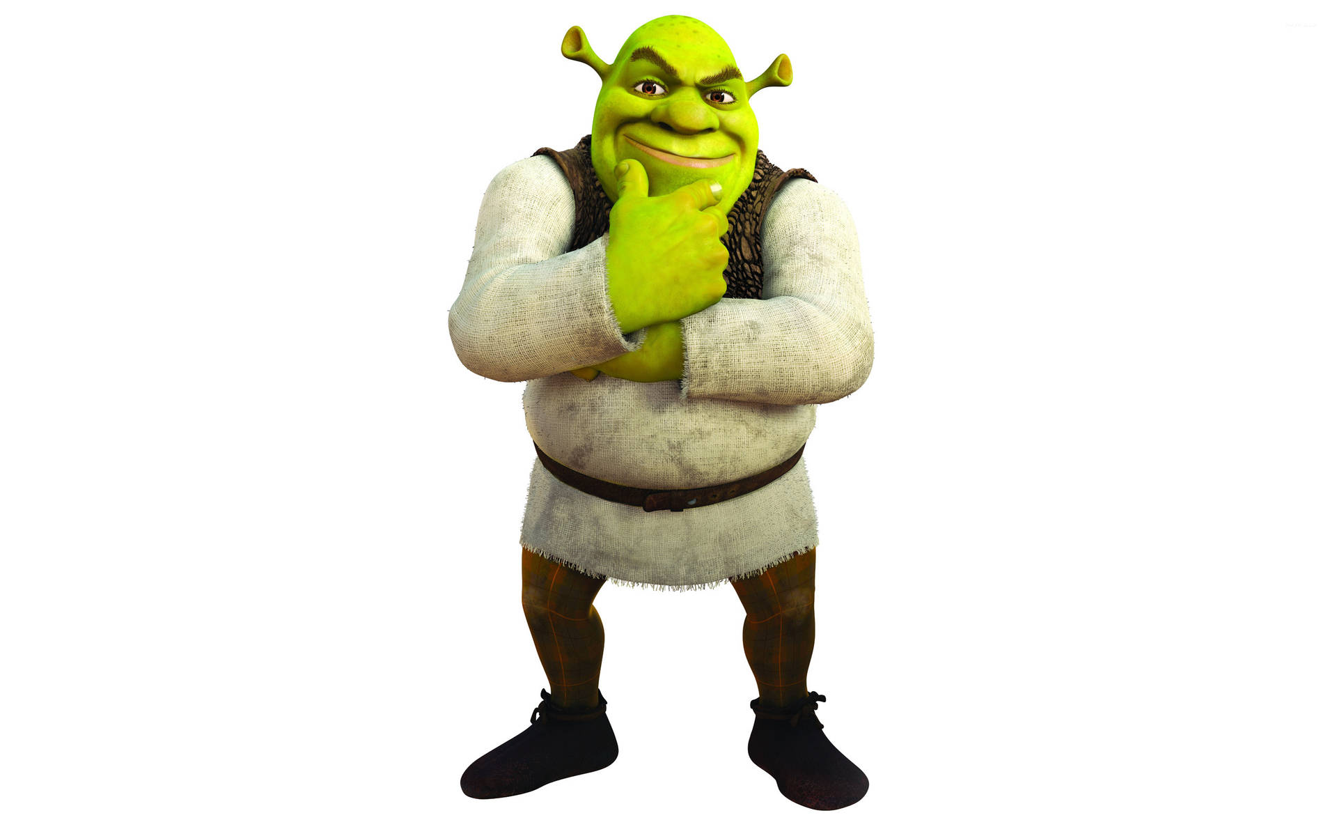 Shrek 2 Against White Backdrop