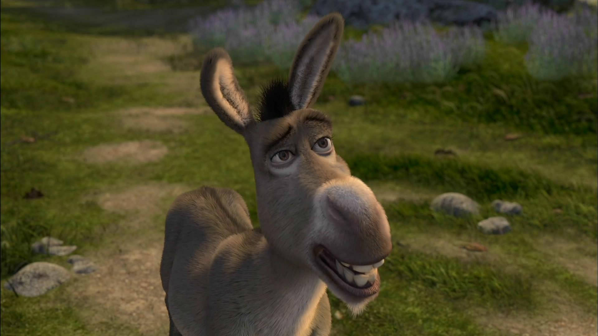 Shrek 2 Donkey On Grass Background