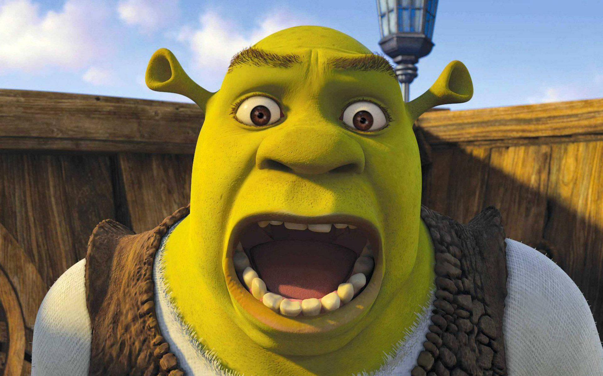 Shrek 2 Surprised And Screaming