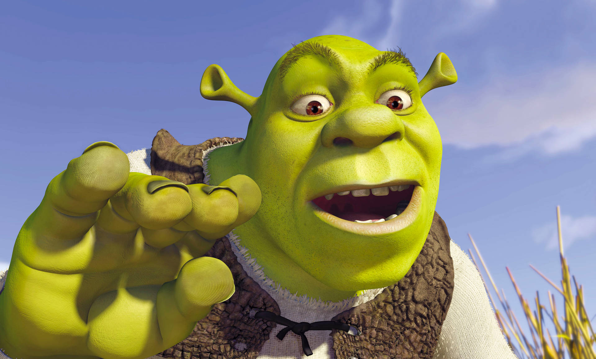 Shrek 4k Candid And Surprised Background