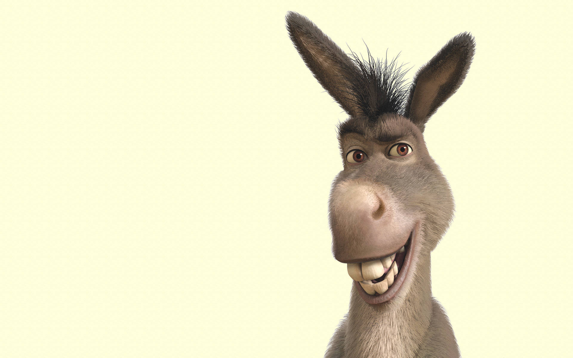 Shrek 4k Donkey Solo Character Poster Background