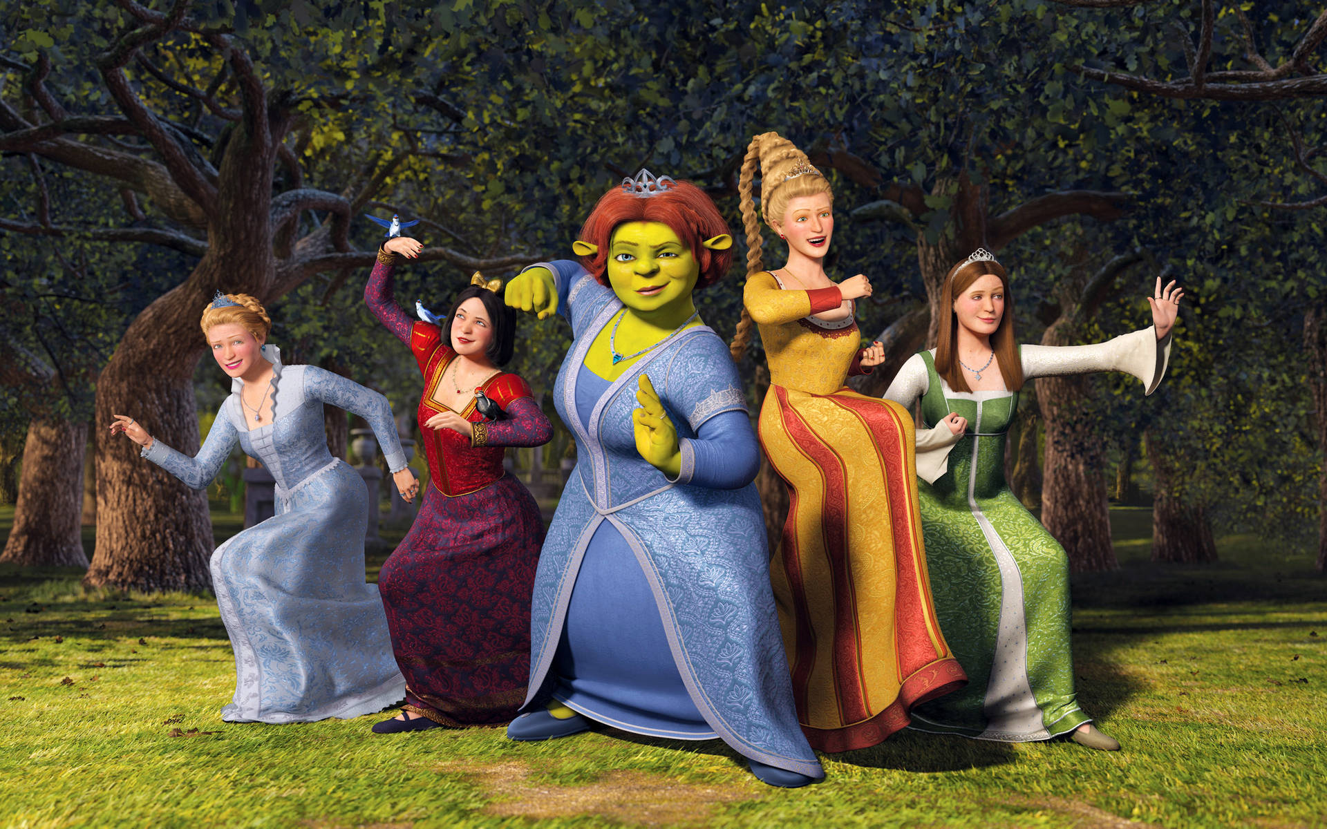 Shrek 4k Princess Fighting Stance