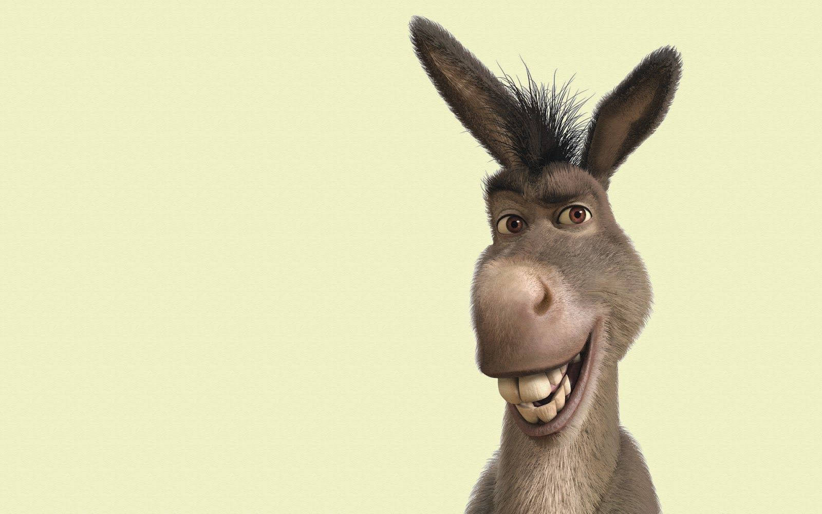 Shrek Funny Smiling Donkey Background