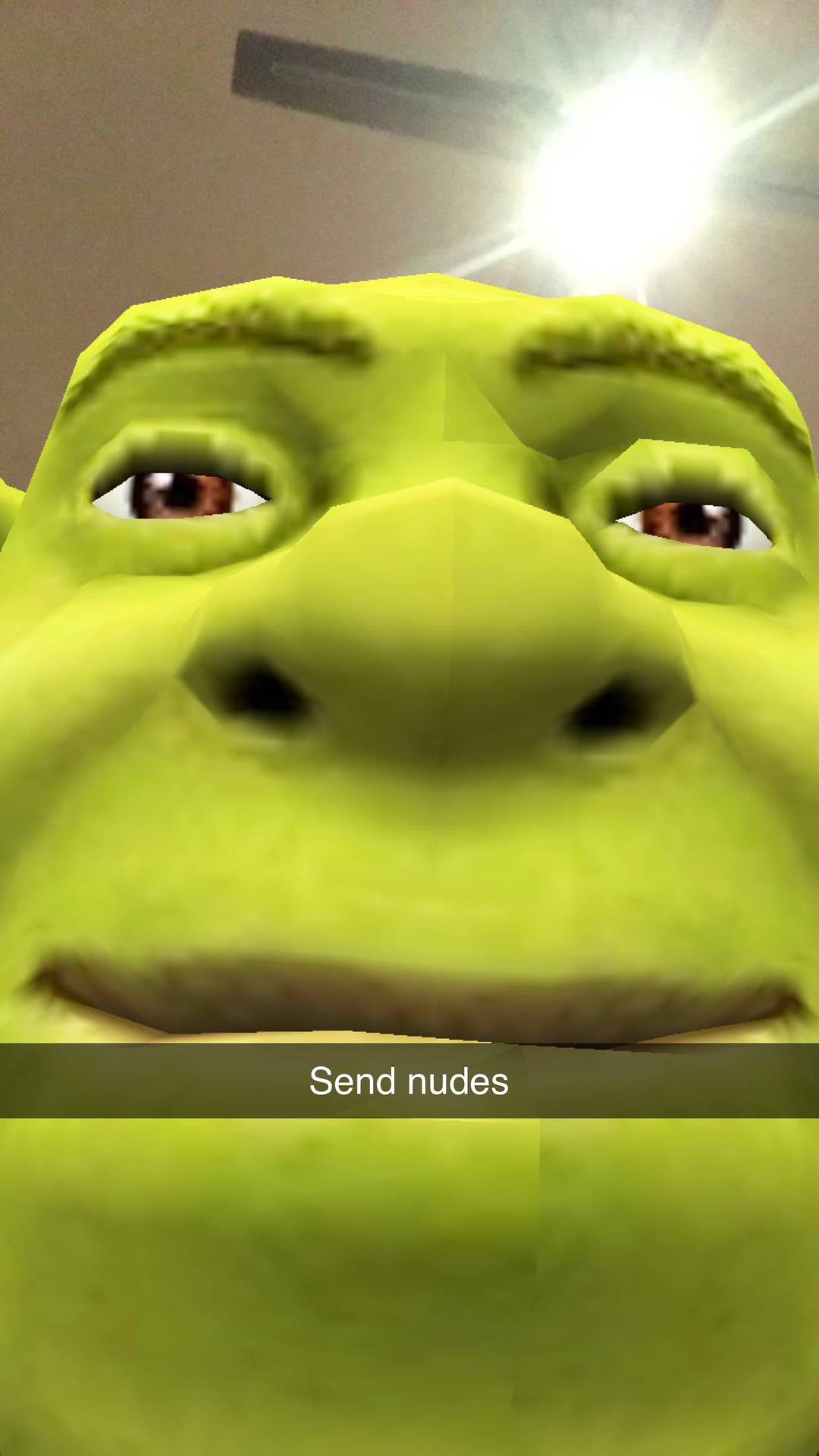 Shrek Nudes Meme Pfp