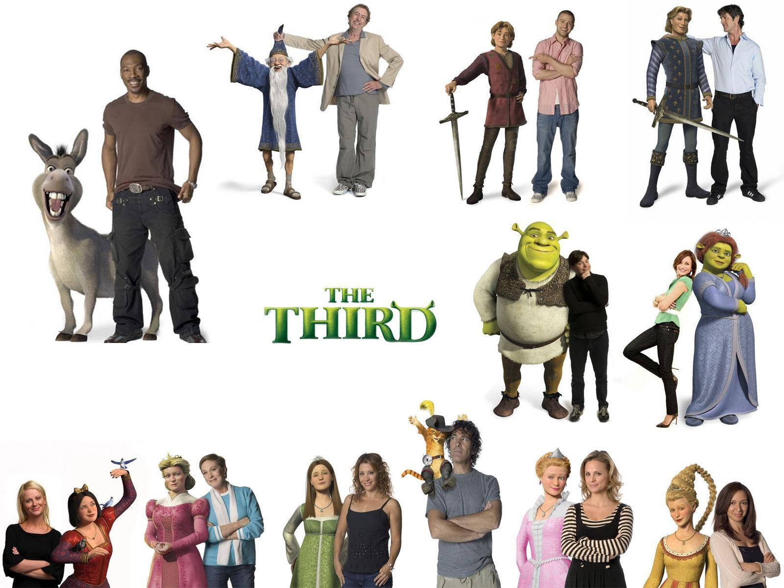 Shrek The Third Voice Actors