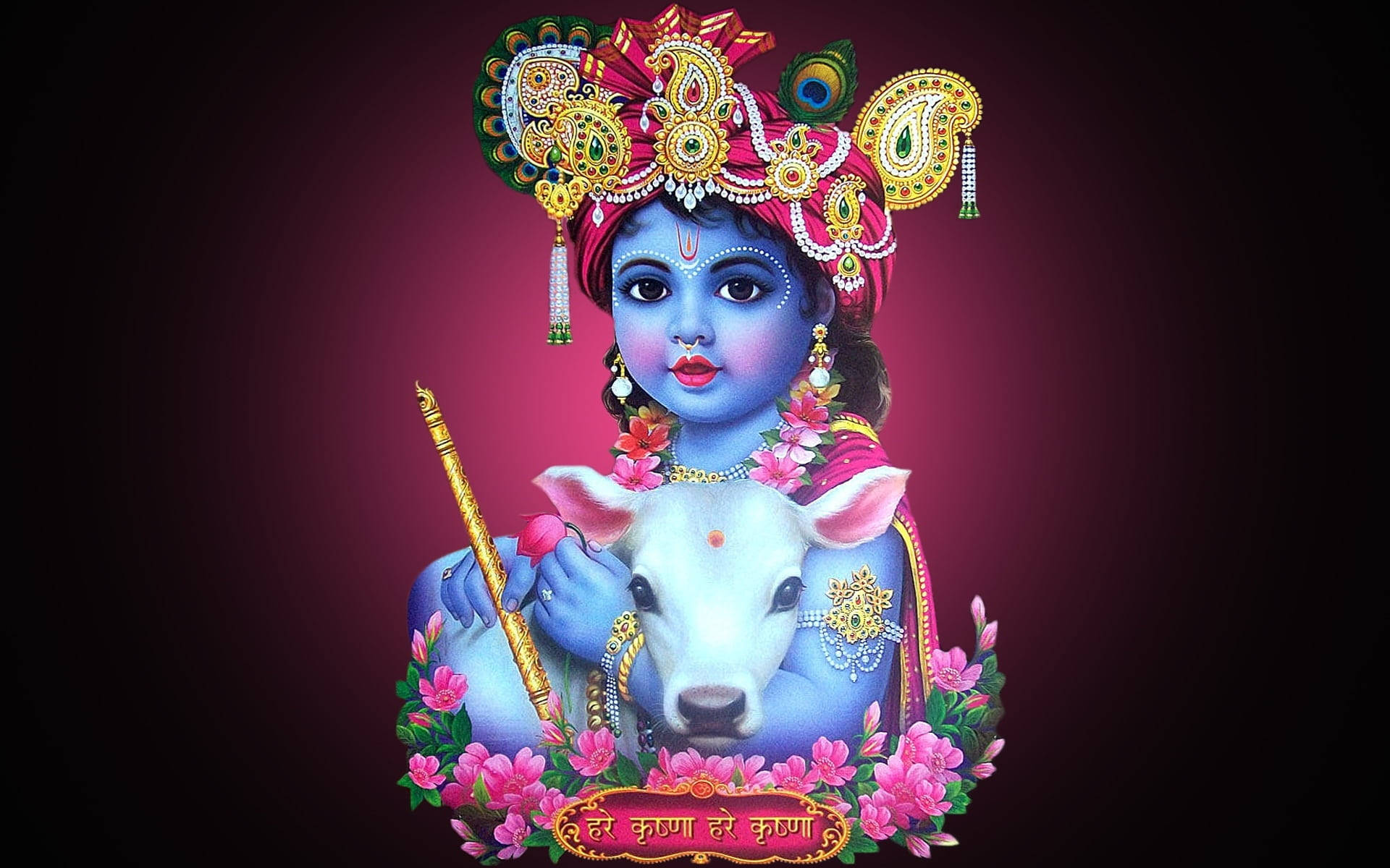 Shri Krishna Against Black And Pink Background Background