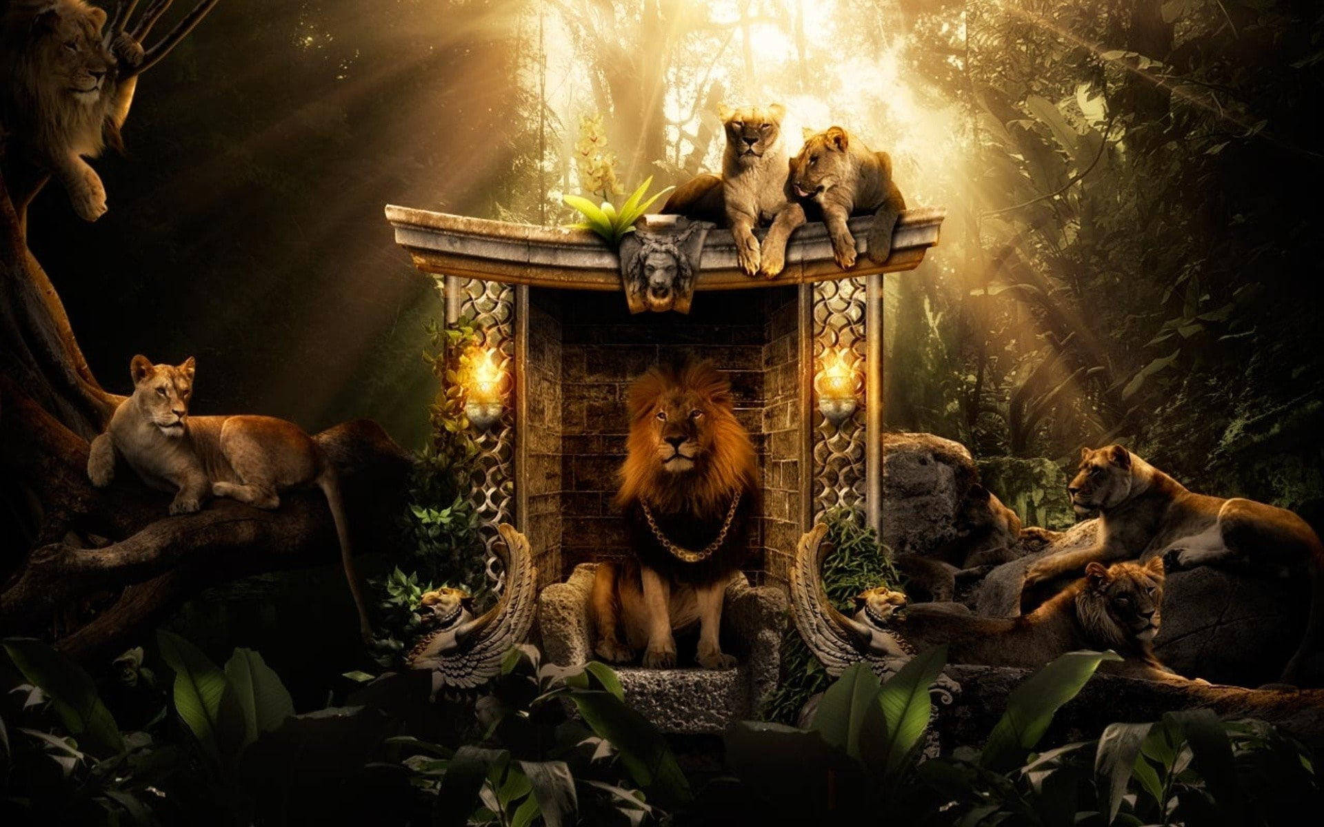 Shrine Lion Laptop Background