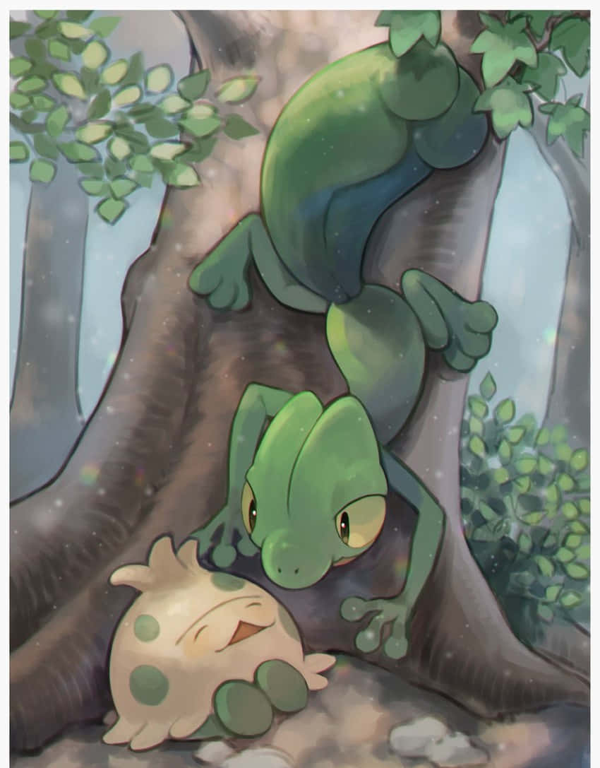 Shroomish Talking To Treecko Background