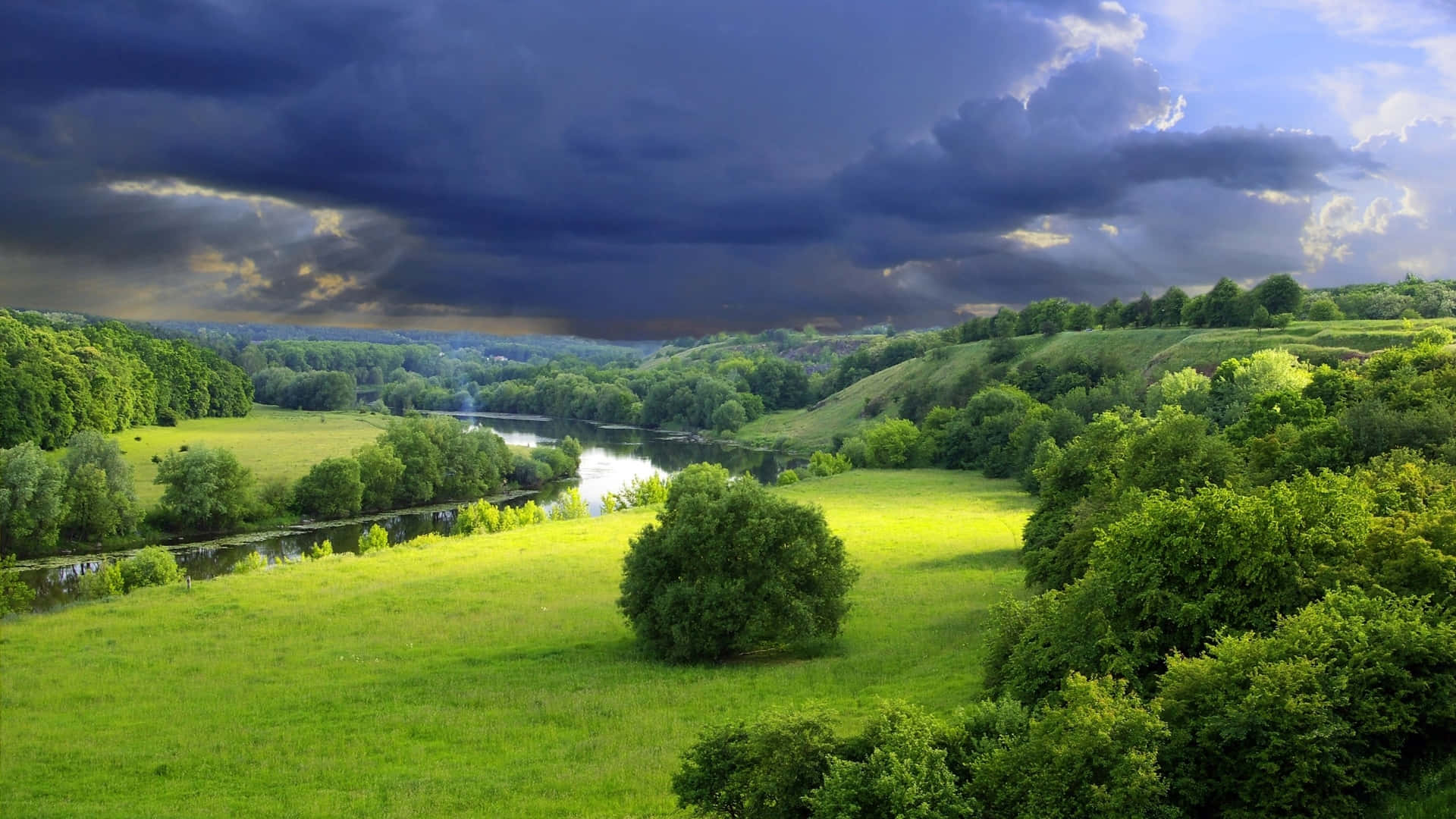 Shrubs In A Beautiful Landscape Background