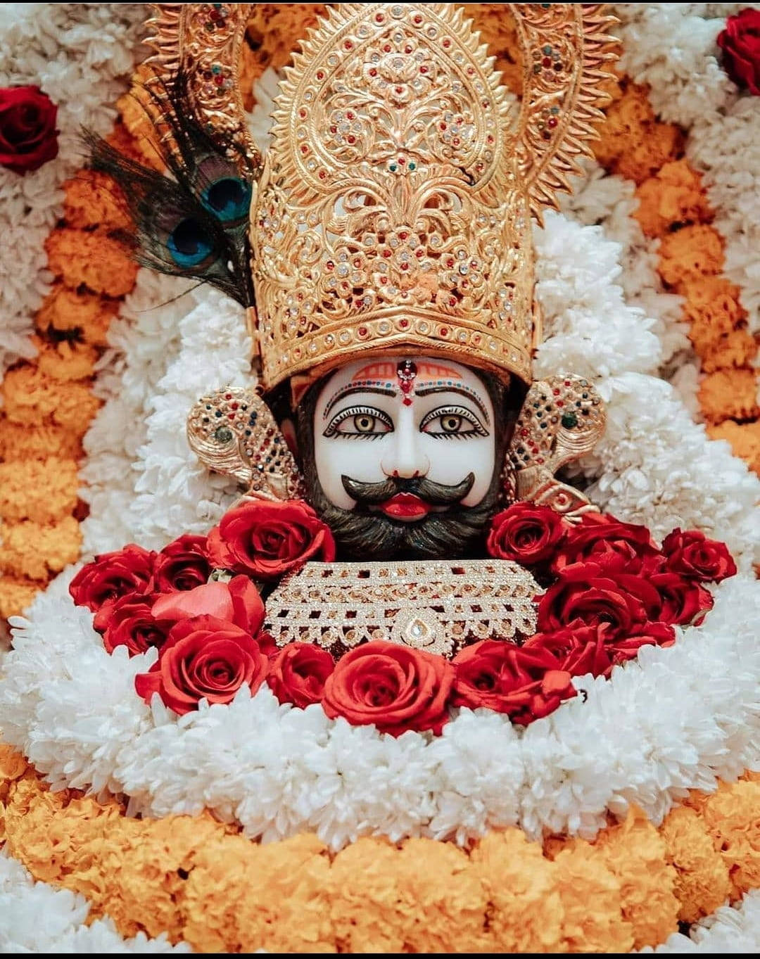 Shyam Baba With Red Roses Background