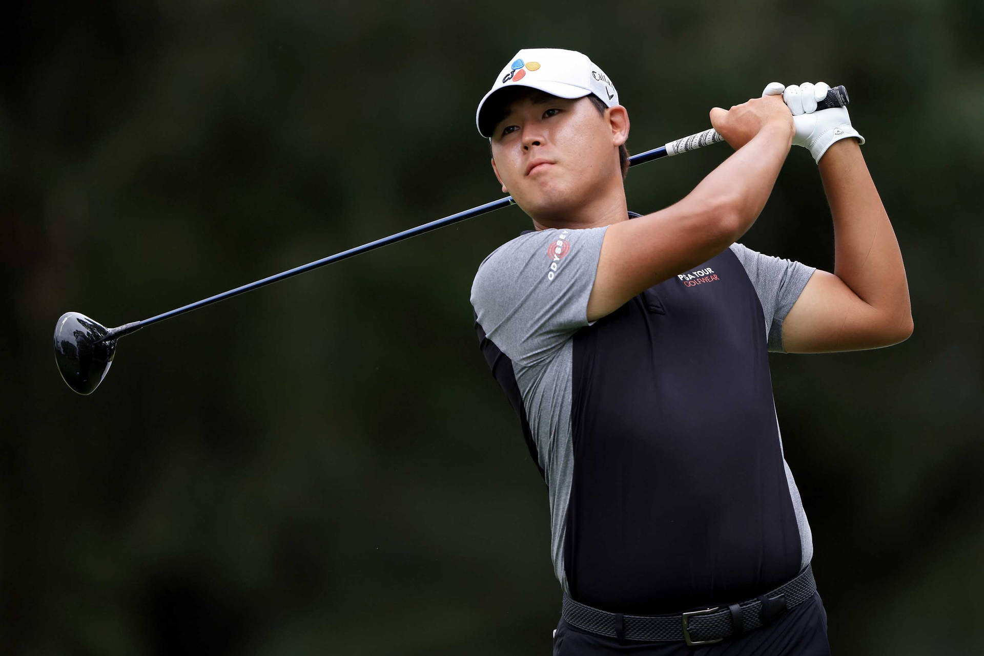 Si Woo Kim Golf Playing Background