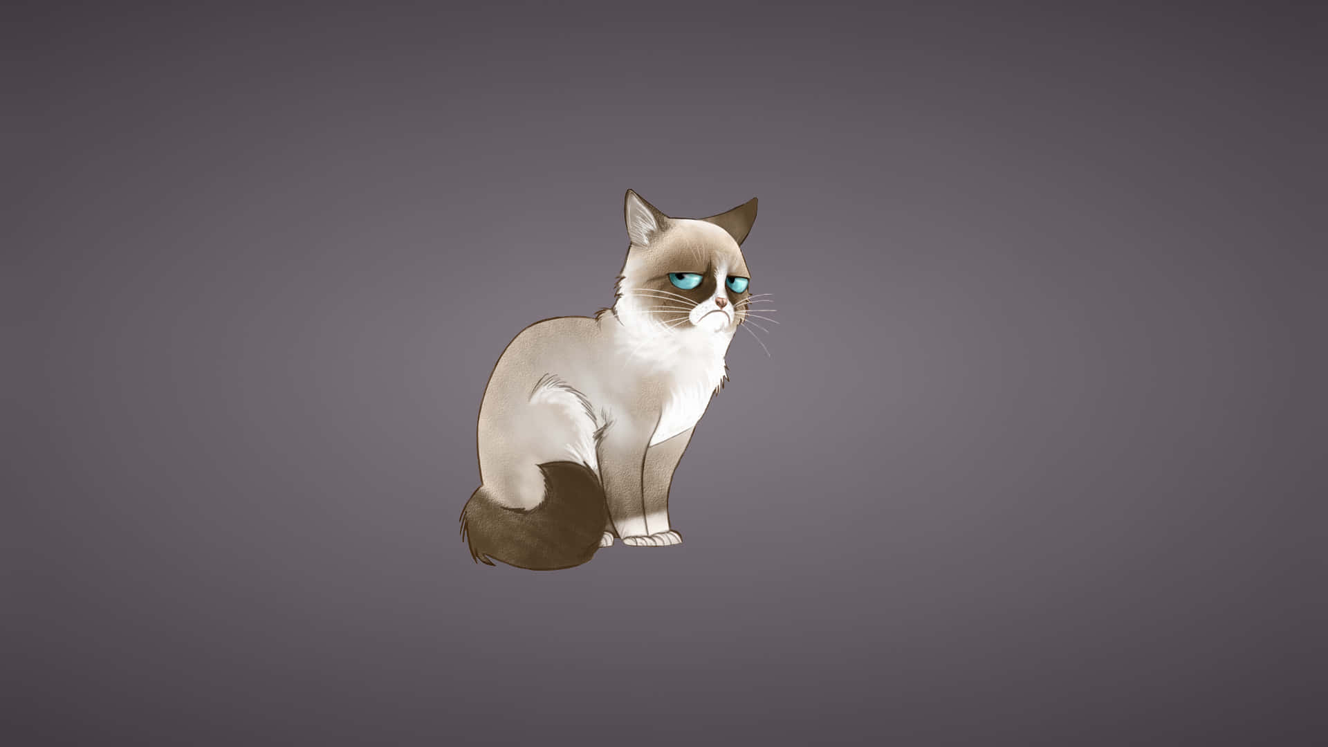 Siamese Cat Meme Laptop Judging Drop Eyes Background