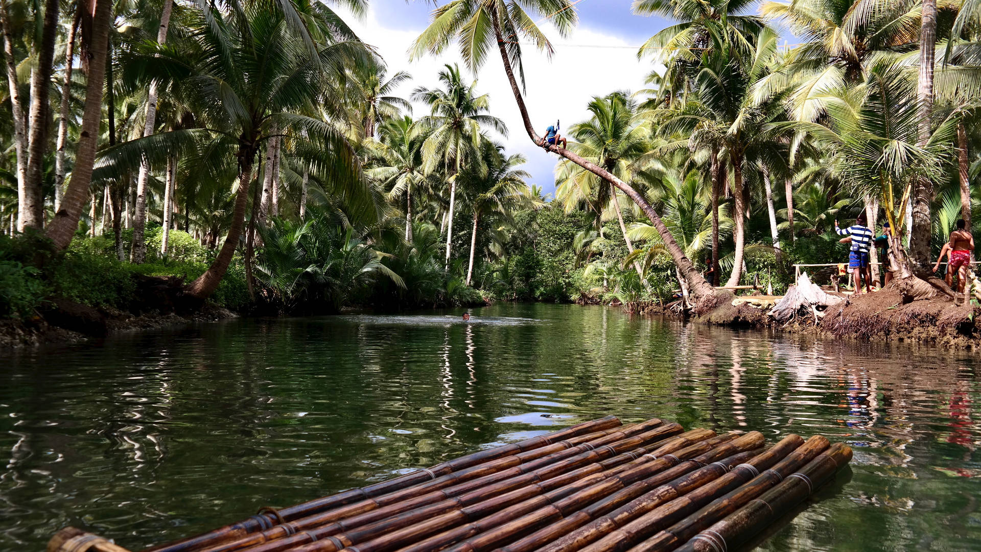 Siargao Island Maasin River Raft Background