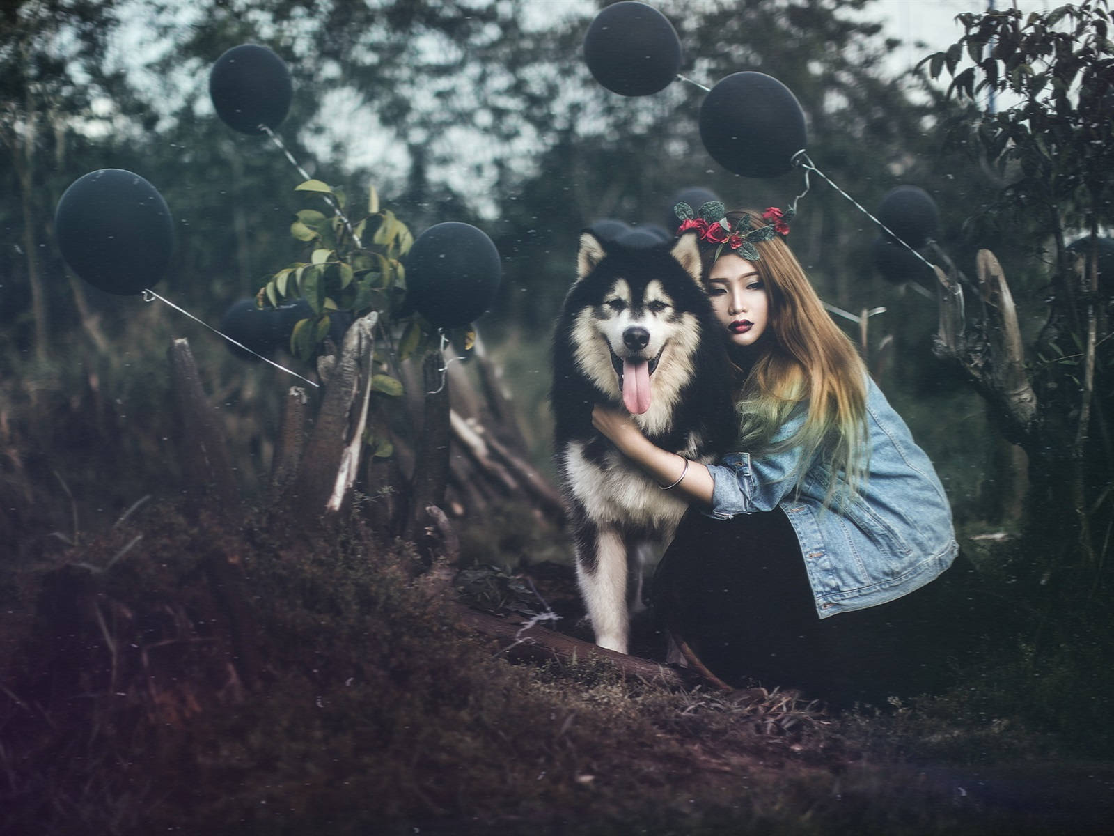 Siberian Husky Dog And Girl Friendship Background