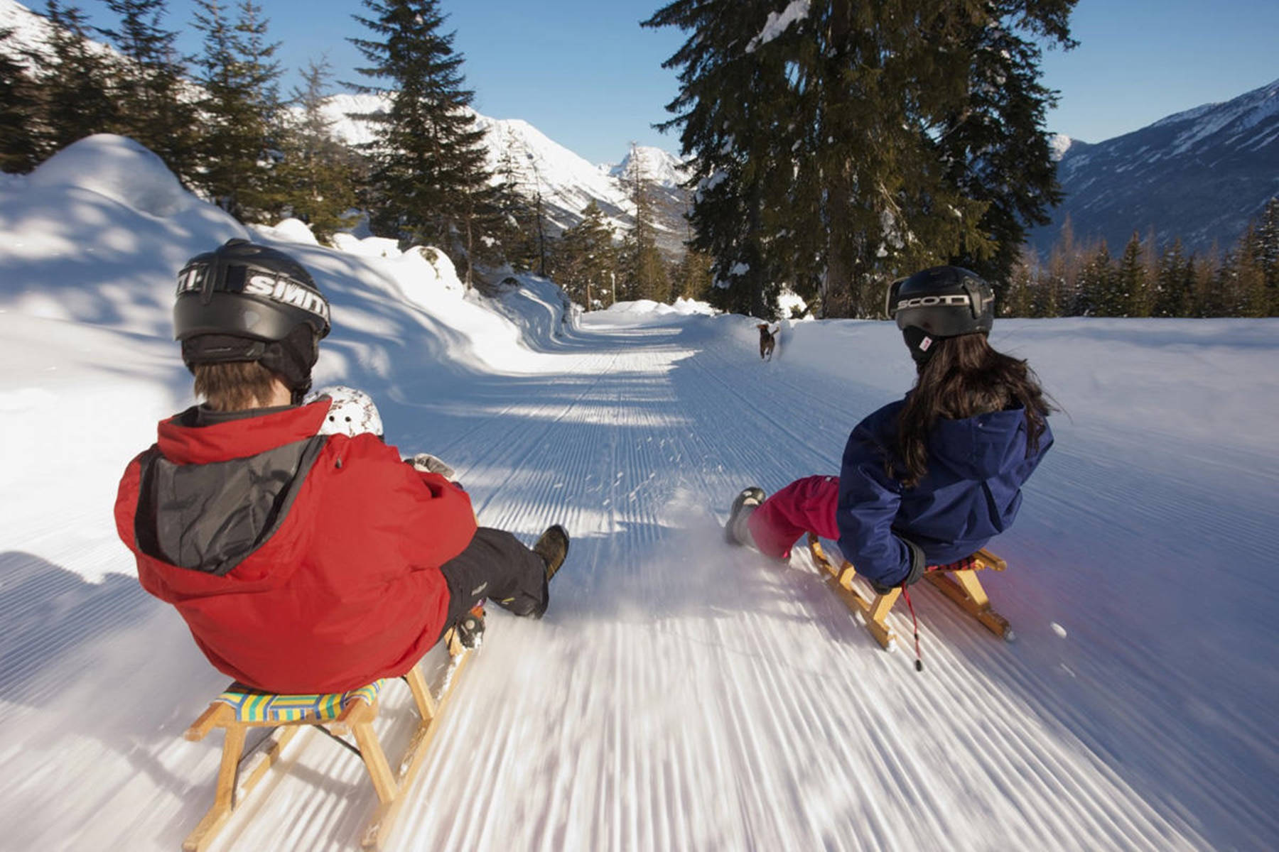 Siblings Are Enjoying Sledding Background