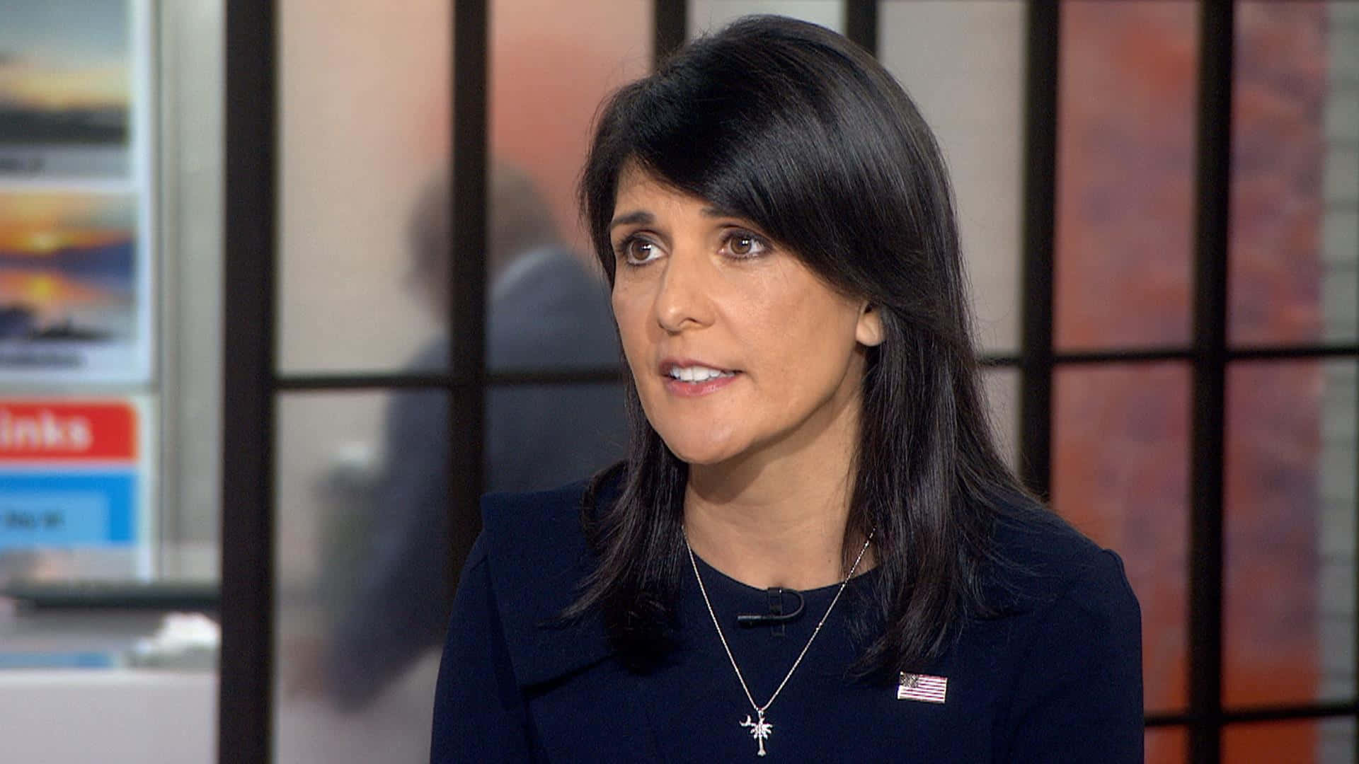 Side-angle Photo Of Nikki Haley Background
