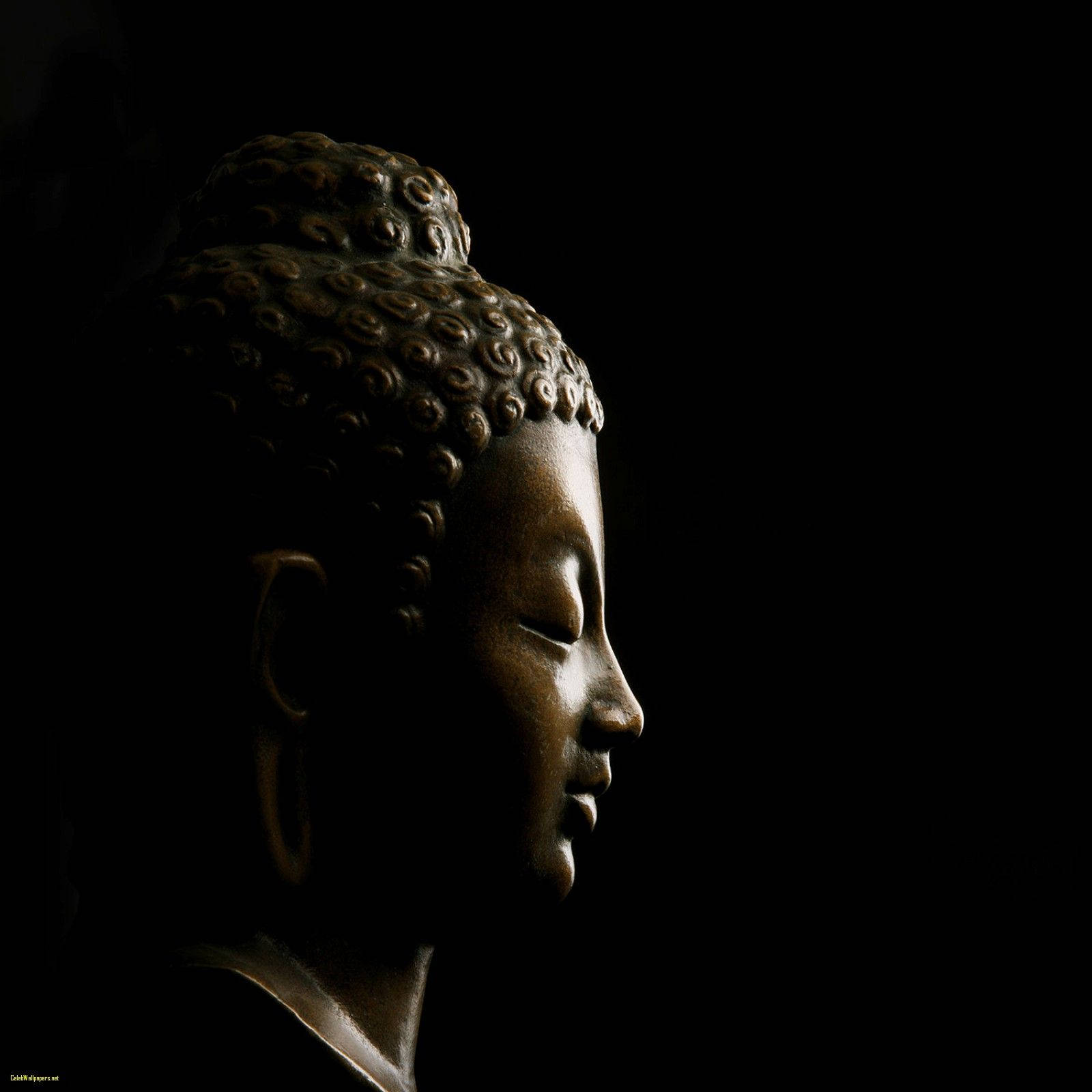 Side View Buddha Statue Background
