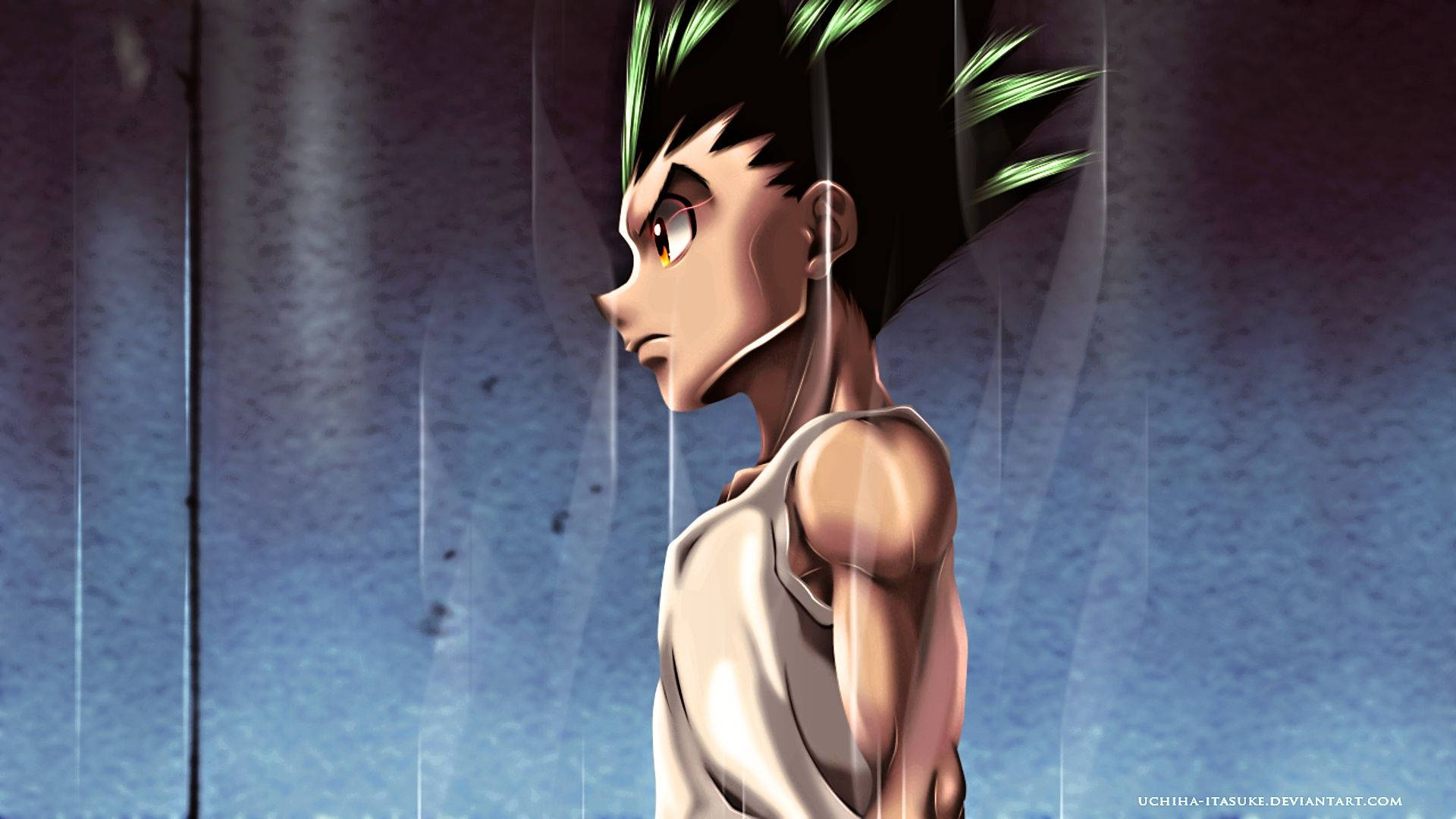Side View Gon Freecss Background