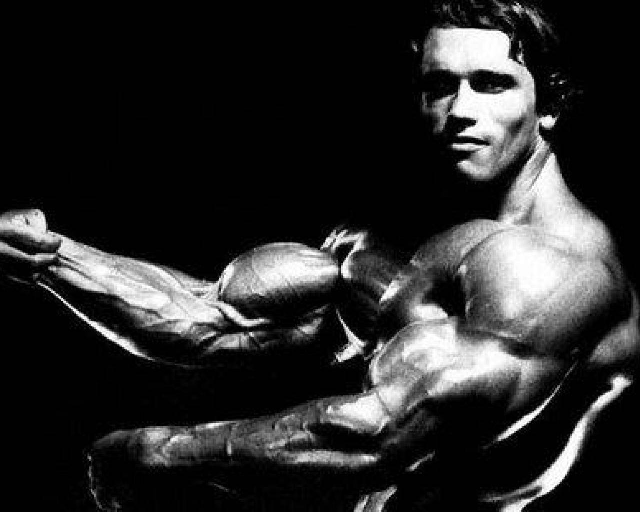 Side View Of Arnold Schwarzenegger