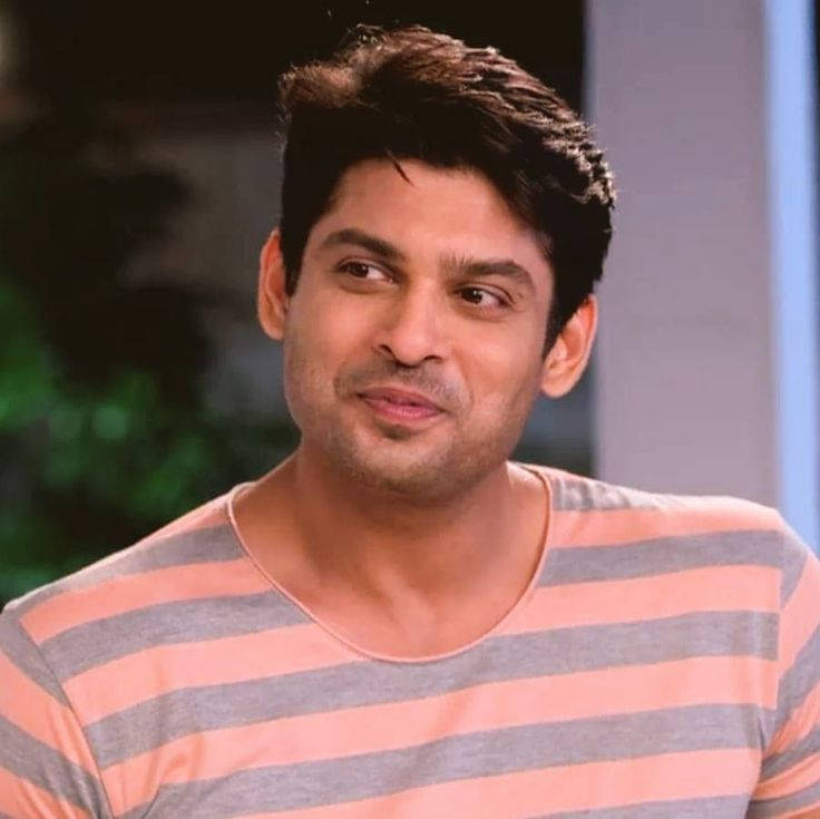 Sidharth Shukla In Stripe Shirt Background