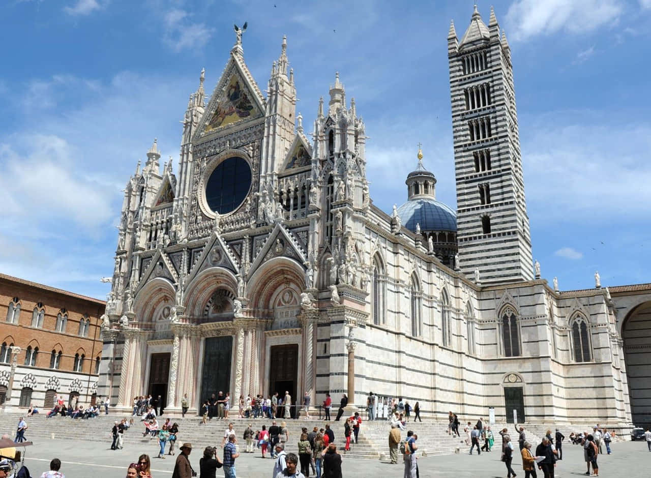 Siena Cathedral Background