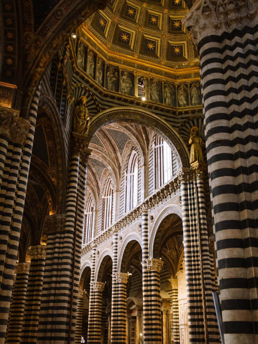 Siena Cathedral Background