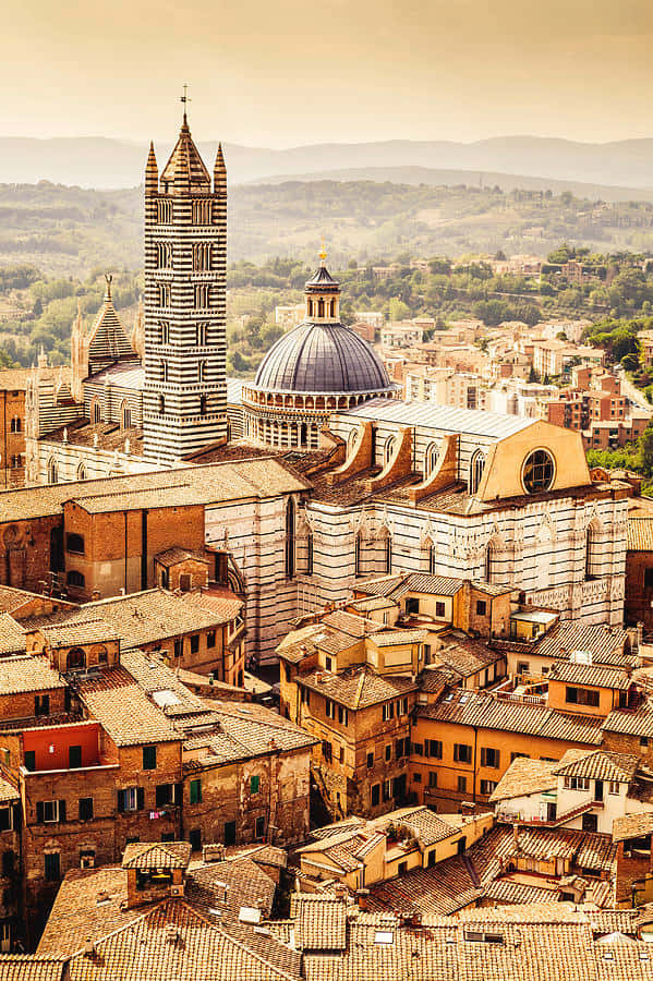 Siena Cathedral Background