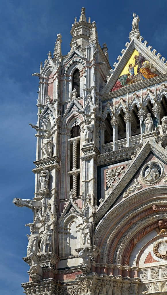 Siena Cathedral Background