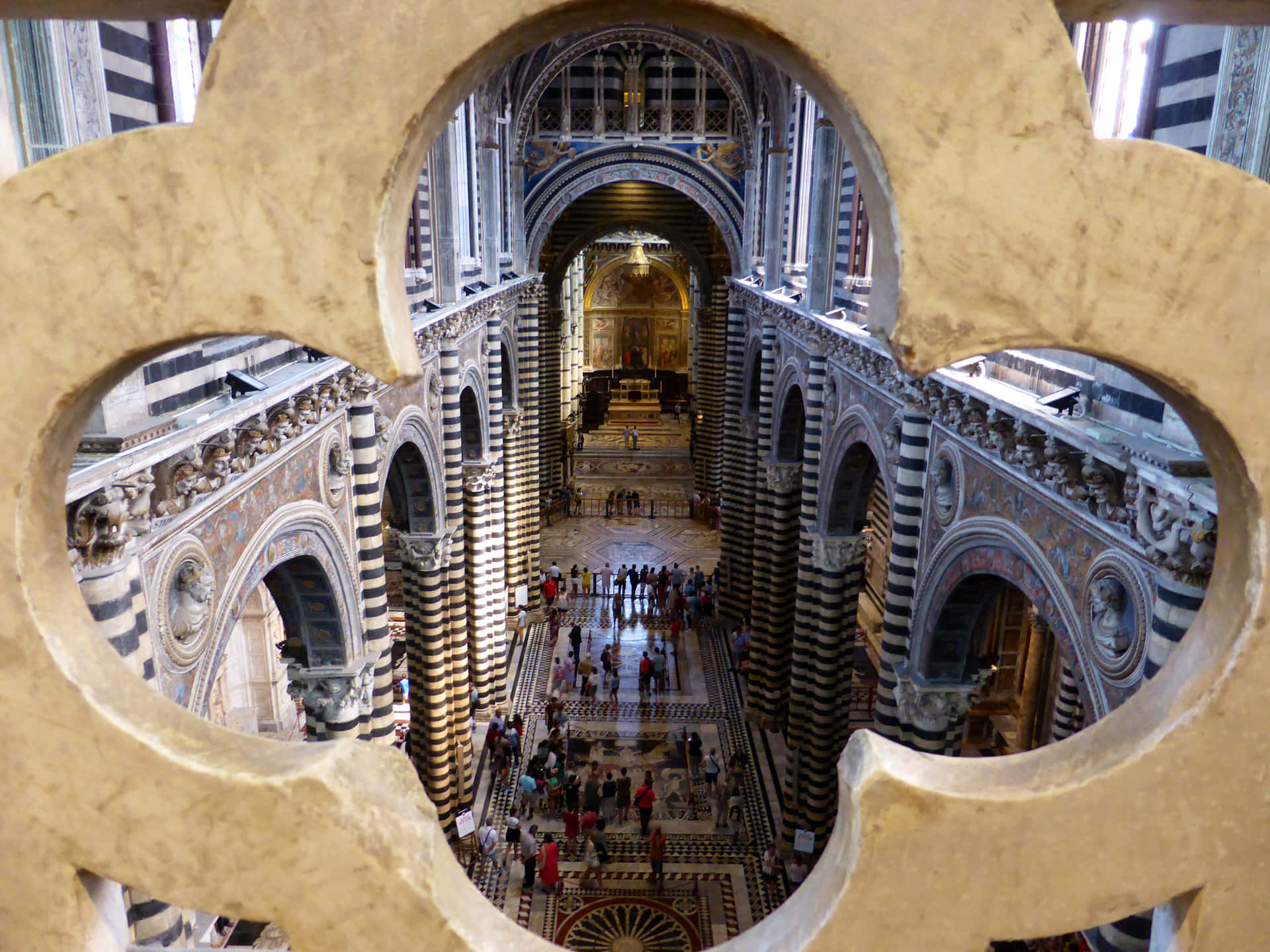 Siena Cathedral Background