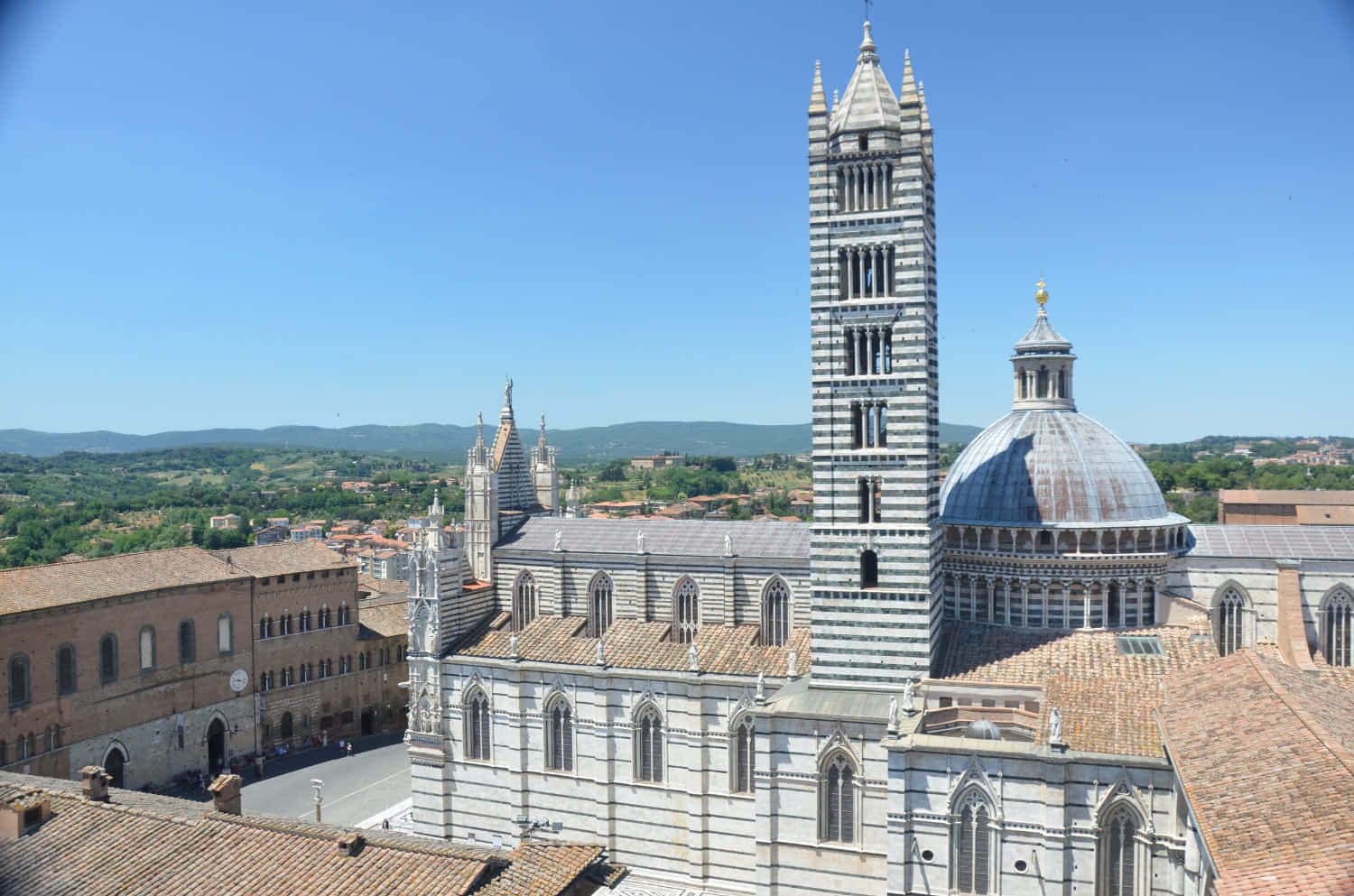 Siena Cathedral Background