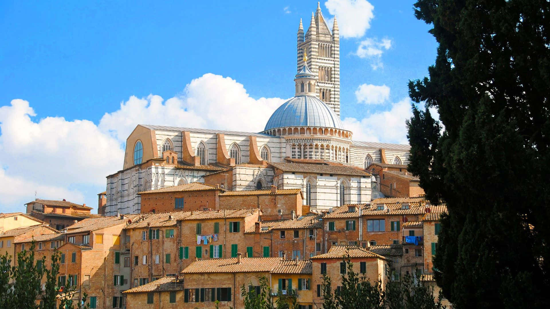 Siena Cathedral In Tuscany Region Italy Background