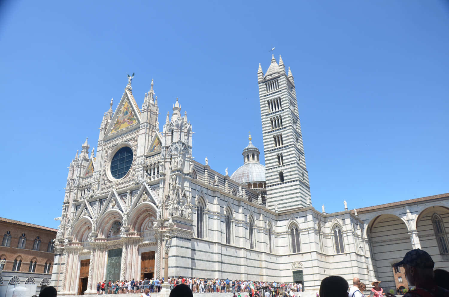 Siena Cathedral Background