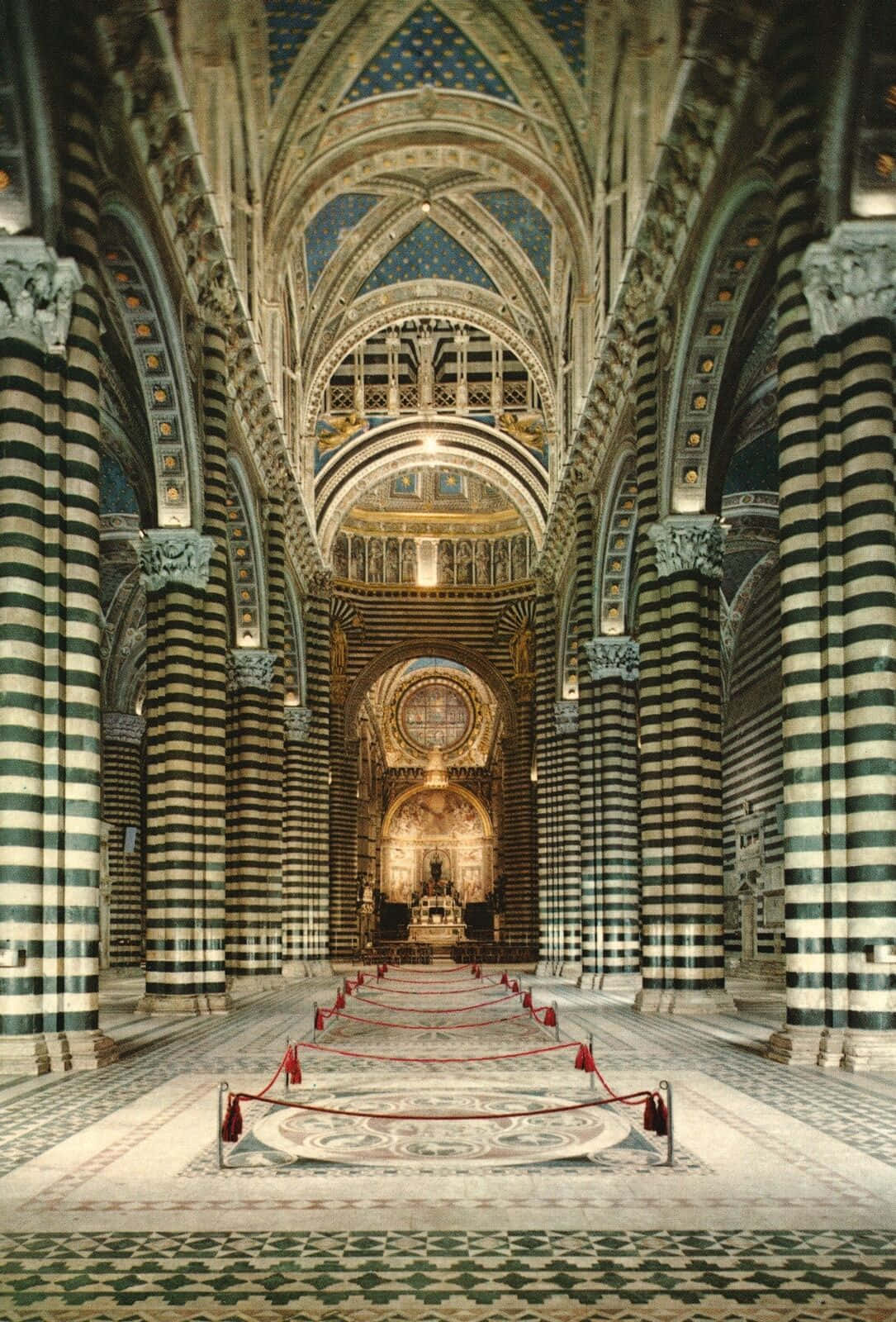 Siena Cathedral Background
