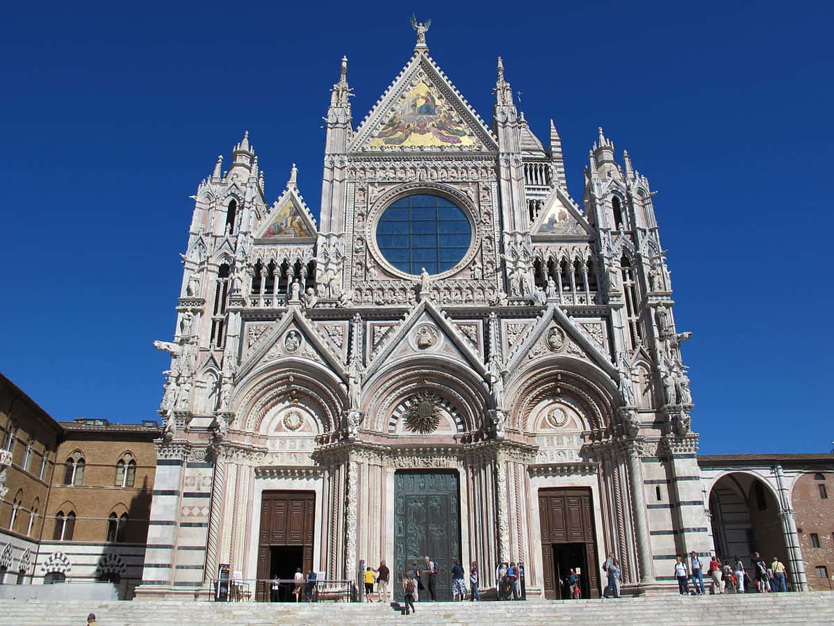 Siena Cathedral Background