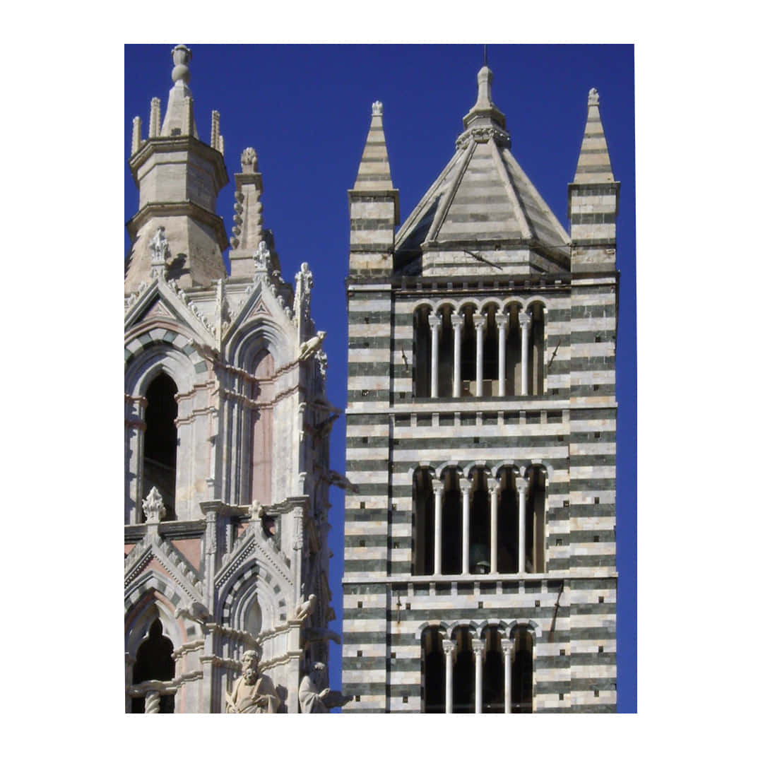 Siena Cathedral Background