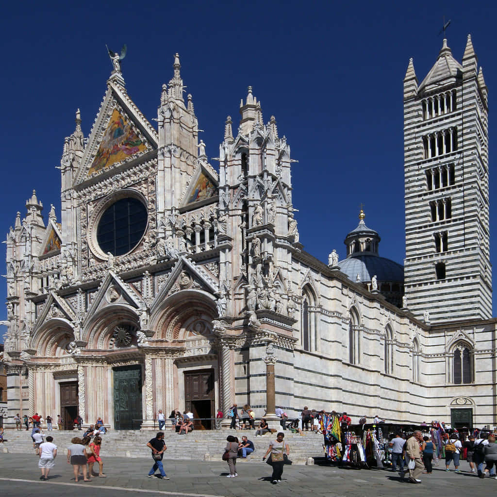 Siena Cathedral Background