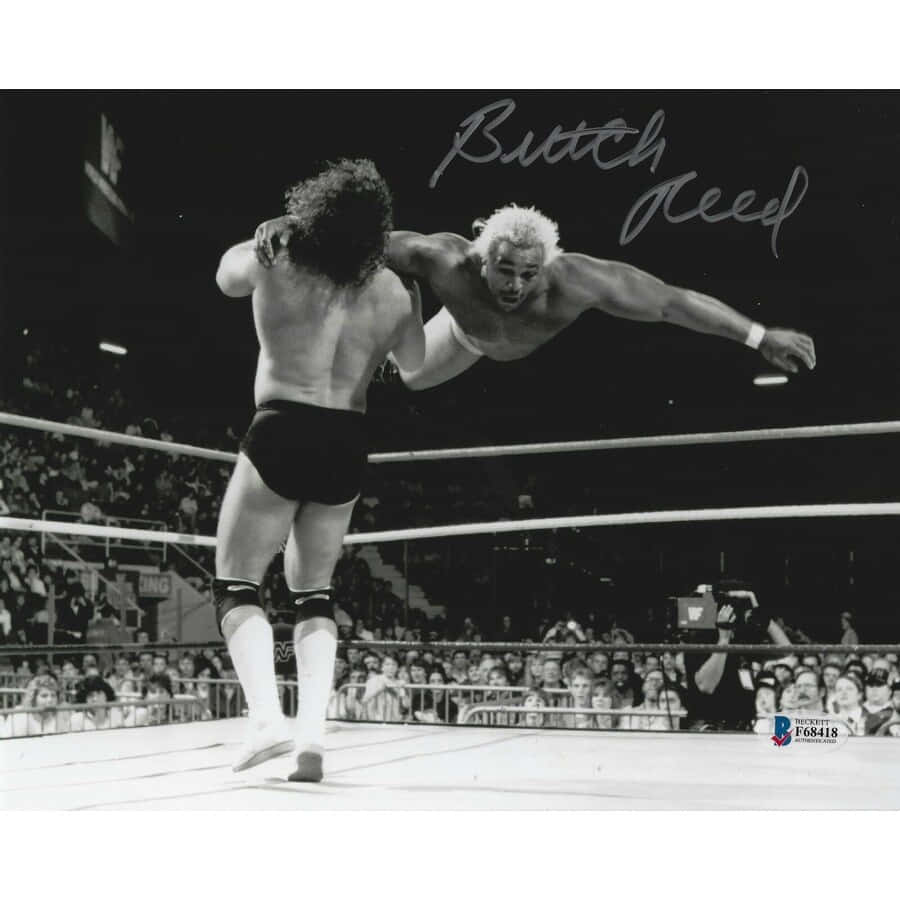 Signature Fighting Butch Reed Background