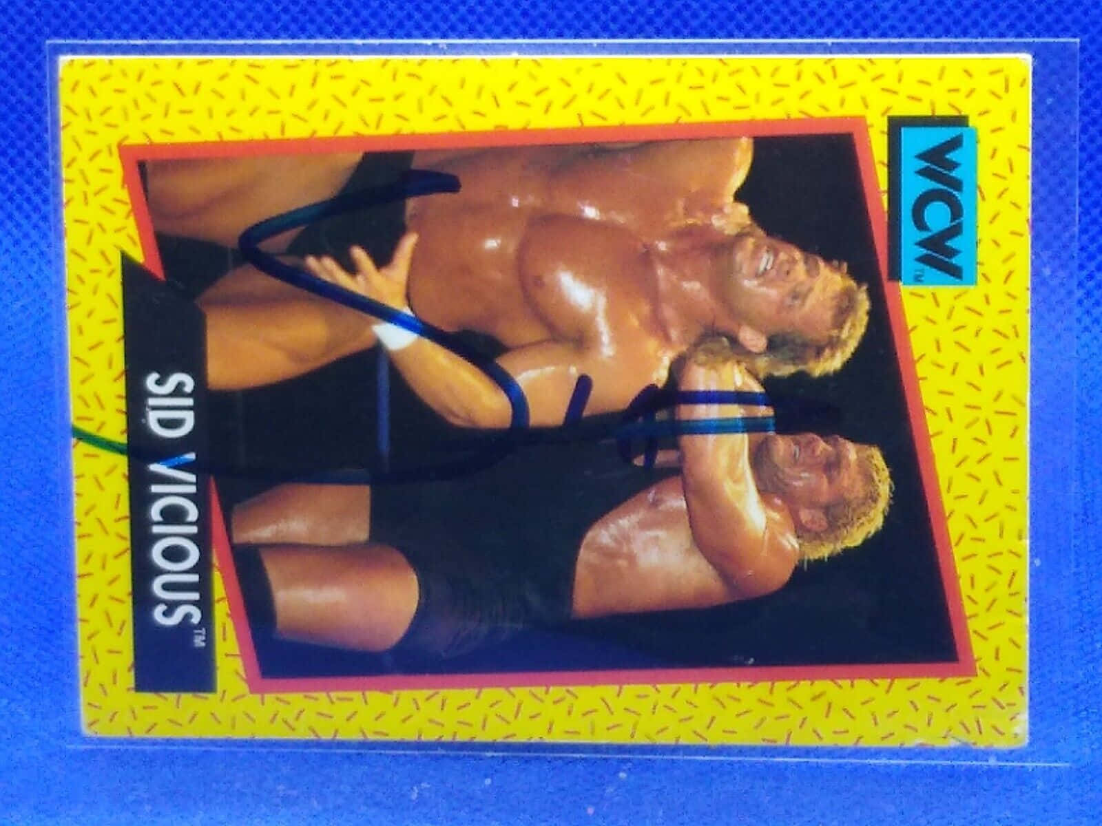 Signed Picture Of Wcw Wrestler Sid Vicious Background