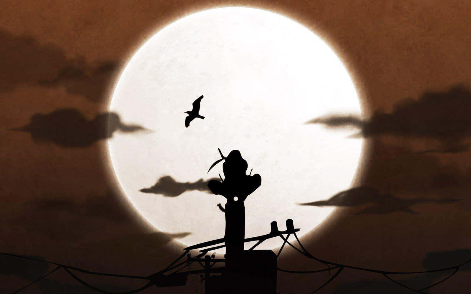 Silhouette Bird Moon Night Background